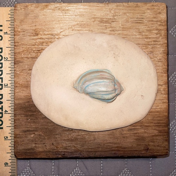 Set of 2 ocean shells rustic frames - Picture 5 of 7